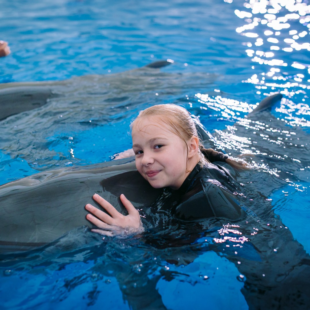 Плавание с дельфинами в Севастополе